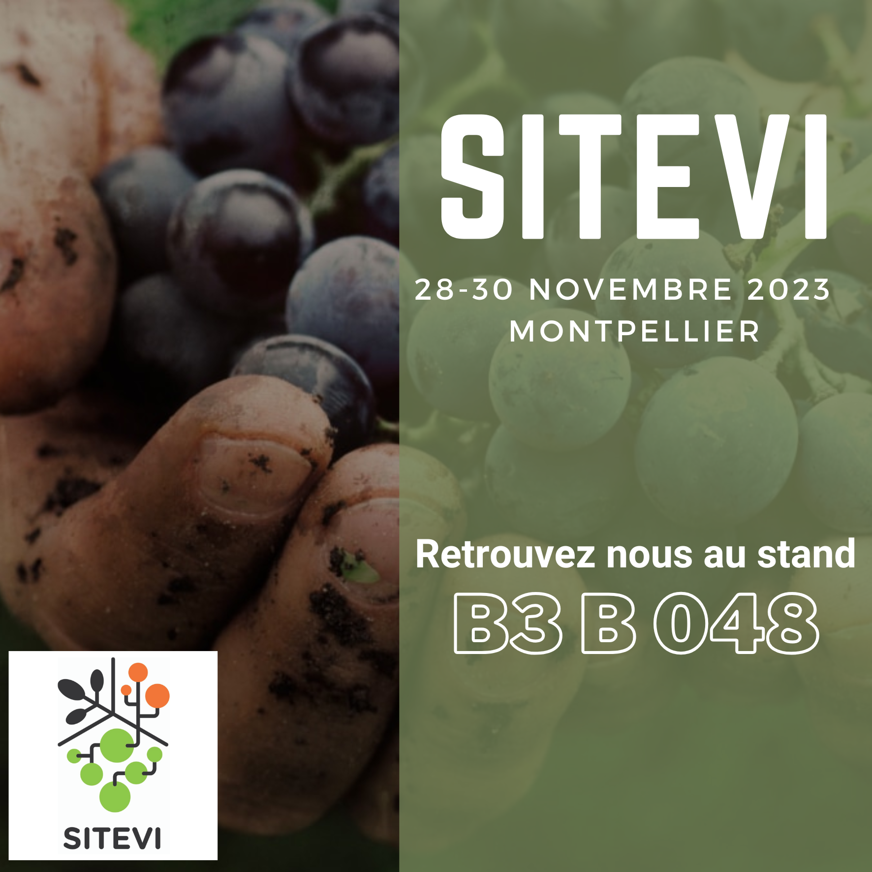 Retrouvez RGDH au SITEVI